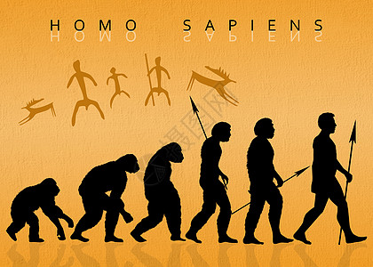 智人历史起源古生物学灵长类男人科学地球生活插图动物图片