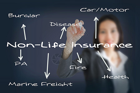 商业界妇女写写保险概念工作人士金融资源安全成人推介会办公室非生命战略图片