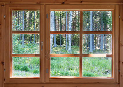 木头窗户阳光明媚的夏日林风景 在木制乡村窗户上背景