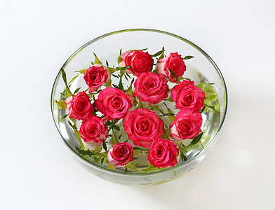 带玫瑰的玻璃碗花朵花瓣粉色图片