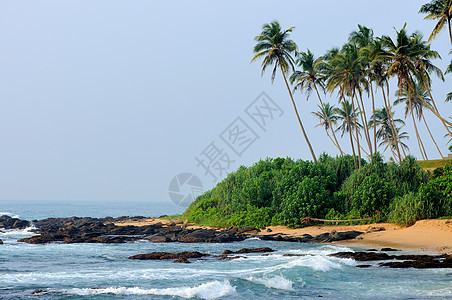 热带热带海滩天空假期支撑晴天叶子椰子海岸线蓝色海景旅游图片