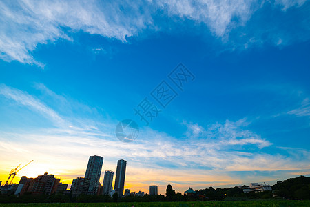 日落桥梁城市旅行病房公园天际市中心景观建筑物观光背景图片