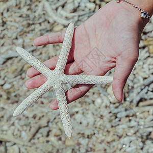 在热带海滩女孩的手上 紧贴星辰自由软体海洋海浪天堂旅游旅行场景海岸宏观图片