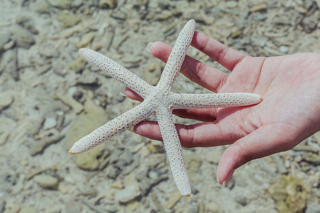 在热带海滩女孩的手上 紧贴星辰天堂场景海岸线海浪珊瑚海岸闲暇海景支撑旅游图片
