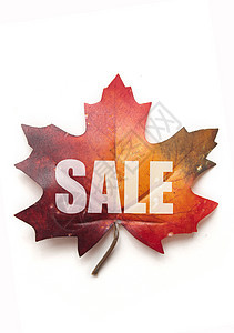 秋季销售额乡村季节性购物红色树叶销售礼物折扣广告价格图片