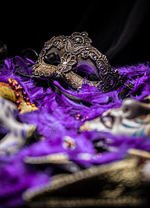 女性狂欢节狂欢戏服舞会派对羽毛秘密配饰紫色图片