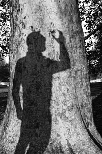 芒在树上的影子树干男性墙纸木头时间荒野剪影热情浪漫阴影图片