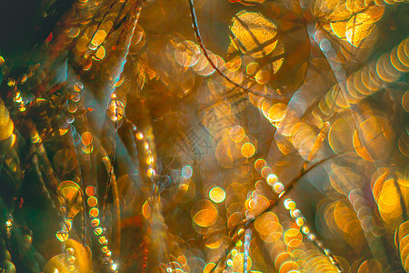 闪闪发光的金色彩带  圣诞假期 hackgroun丝带派对季节装饰金子玻璃背景庆典闪光圆圈图片