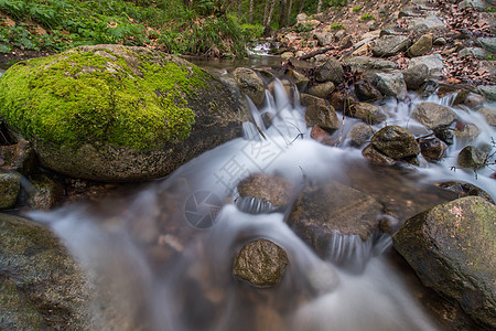 健康的森林河岩石运动地球瀑布植物跑步苔藓生活荒野环境图片