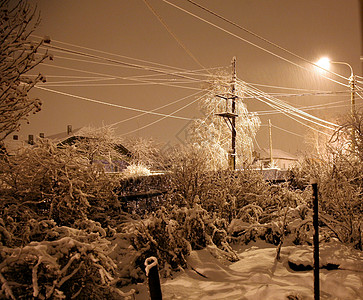 晚上在乡下大雪降 飞雪场景村庄街道季节桦木沉降公园天气房子降雪图片