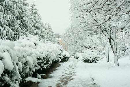 在克拉斯诺达尔地区Vityazevo村渡雪寒冬日图片