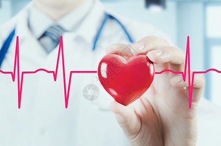 心脏病专家拿着心脏 3D 模型 心电图的概念医院诊断保健卫生医生临床压力情况乐器医疗保险图片