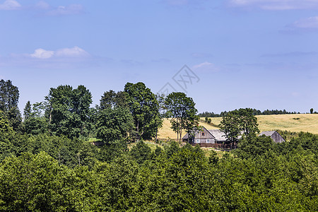 波兰苏瓦西景观公园蝌蚪公园风景牧场观光灌木旅游丘陵湿地荒野图片