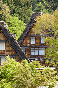 传统和历史古老的日本村庄白川博物馆建筑世界森林村庄农家三角形全景建筑学地标图片