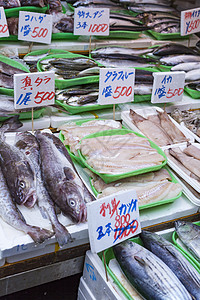 日本津治鱼市盘子火鸡美食孵化场美味杂货店食物眼睛厨房渔夫图片
