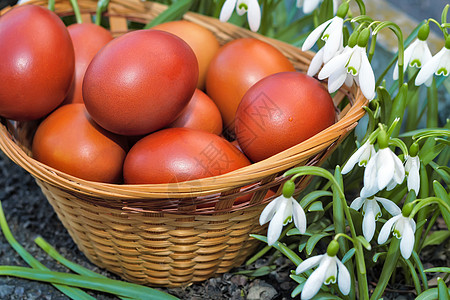 蛋莲糖醇复活节的鸡蛋在篮子和雪滴里团体花朵草地花园食物礼物装饰品教会仪式宗教背景