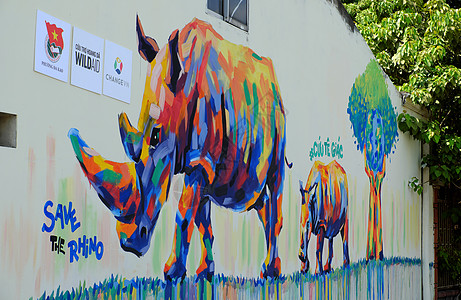 用涂鸦艺术 犀牛画作的Rhino壁画动物宣传保护犀牛头犀牛角工艺背景牛角绘画图片