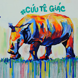 用涂鸦艺术 犀牛画作的Rhino工艺绘画保护犀牛头活动动物壁画牛角宣传行动图片