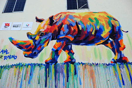 用涂鸦艺术 犀牛画作的Rhino背景犀牛头海报壁画工艺牛角绘画宣传行动活动图片