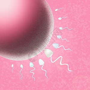 子宫中的精子联姻母性妇科教育女性怀孕女孩粉色图片