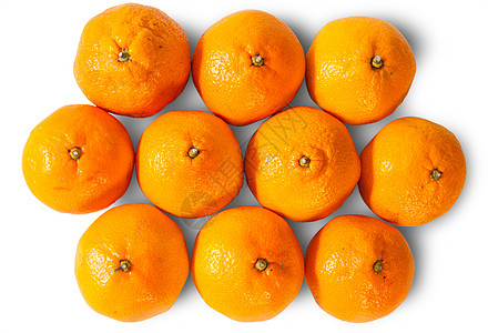 雷普·焦柳橙橘高清图片