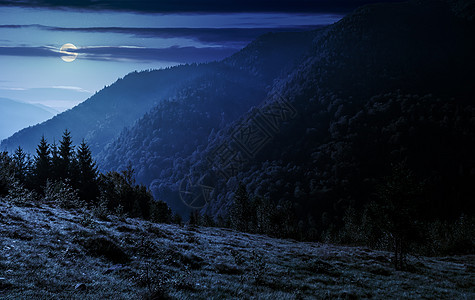 夜里山坡上的迷幻森林荒野爬坡木头地球天空场地针叶蓝色草地月亮图片