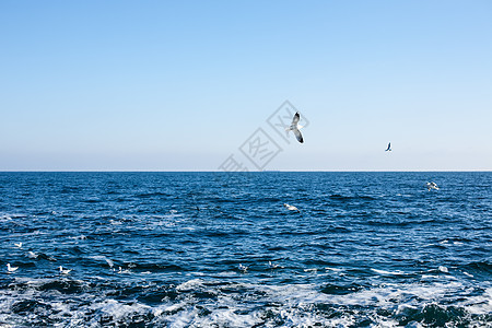 黑海的图片全景图环境灾难科学反光花饰海岸石头海景浪花自然图片