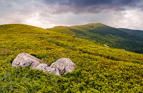 高山山区地貌草地石头上坡土地驼峰木头地面地球环境高度背景图片