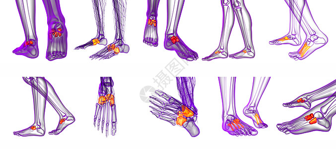 3d 提供医学上对中脚骨的插图长方体医疗渲染3d指骨文字骨头跗骨楔形跖骨图片