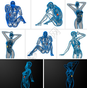 3d 提供脾脏的医疗插图健康3dx光渲染药品诊断器官生物学病人解剖学背景图片