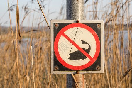 河边的邮报上没有捕鱼标志警告齿轮公园环境芦苇生态金属控制禁令爱好图片