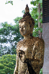 摧毁泰国Ayutthaya古老寺庙热带佛塔建筑祷告智慧雕像身体森林儿子瑜伽图片