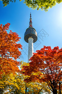 韩国地标在韩国南山南山的首尔塔和红色秋天叶建筑学地标城市景观反射风景公吨场景树叶天际背景