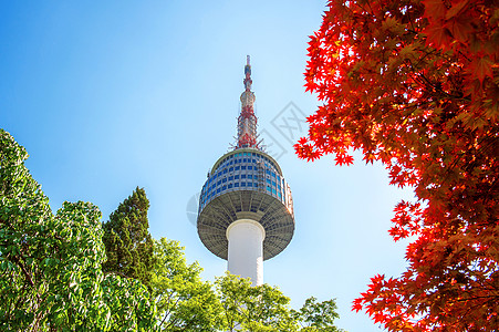 在韩国南山南山的首尔塔和红色秋天叶风景天际公吨建筑学地标城市反射场景景观树叶图片