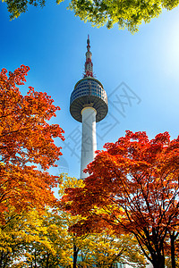 在韩国南山南山的首尔塔和红色秋天叶风景树叶反射景观地标城市场景天际建筑学公吨图片