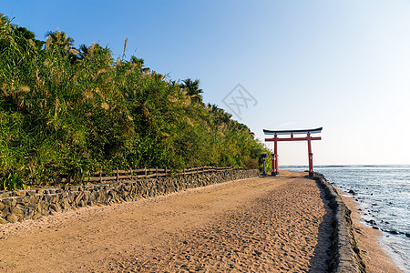 青岛岛青岛神社的鸟居图片