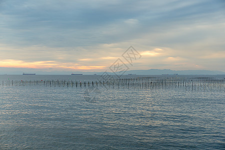 养鱼业海岸天际水产天空海洋养殖海浪环境海景宠物图片