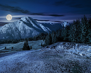 夜间穿过森林到高山的公路图片