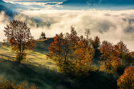 华丽的乡村 山谷中雾雾不断叶子天空天堂爬坡果园木头栅栏水果阴霾山坡图片