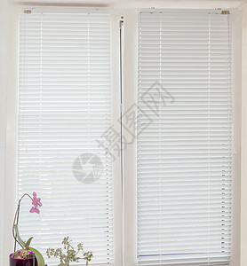 现代塑料窗口上的白百叶百叶窗绳索隐私窗户盲棍窗帘热能房子阴影水平倾斜图片