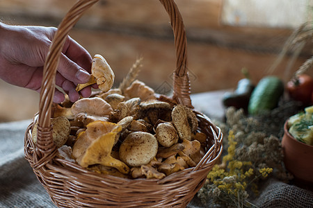 篮子中不同的蘑菇烹饪营养宏观蔬菜橙子植物乡村森林桌子季节图片