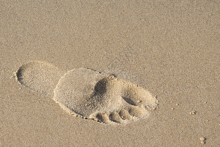 海滩照片上的脚印 美丽的图片 背景 华尔脚步印刷烙印热带假期打印小路海岸海滨自由图片
