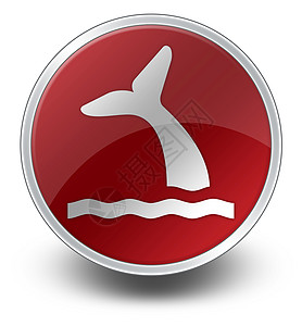图标 按钮 象形鲸动物生活游客游览手表旅游插图海洋纽扣文字图片