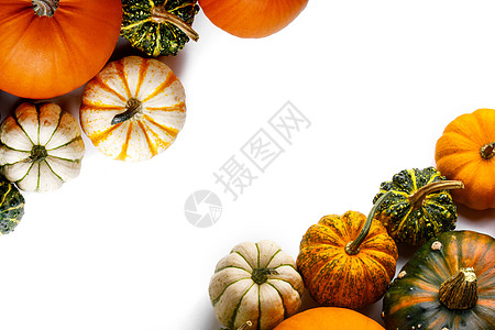 许多橙色南瓜庆典感恩水果假期营养装饰生产风格食物蔬菜图片