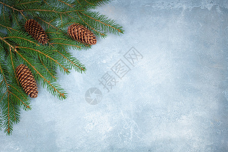 蓝色混凝土背景上带锥子的圣诞树分枝图片