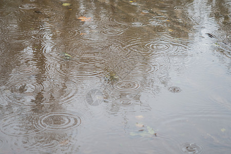 水坑中的雨滴池塘圆圈液体风暴波纹气泡环境雨水下雨反射图片