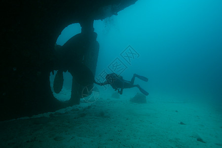 加勒比海海域水下潜水活动深海海底潜水蓝色团体野生动物海景海洋场景红色游泳活力风景图片