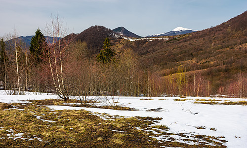 春天即将到来雪山起源伴奏资源林地公园植物顶峰爬坡环境森林图片