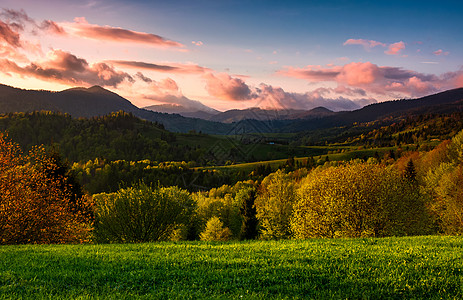 春天的阴暗夕阳下森林山丘地区驼峰风景天空林地小丘山坡土地山脊资源图片