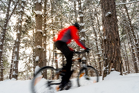 美丽的冬季森林中的红色骑马山自行车 的赛车名目 照片由运动模糊片拍摄冒险山地车踪迹男人速度行动车轮锻炼男性骑士图片